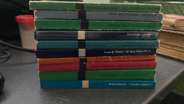 Dieter Forte, Ingrid Bergman Leon de Winter - 10 db a Modern k�nyvt�r sorozatb�l