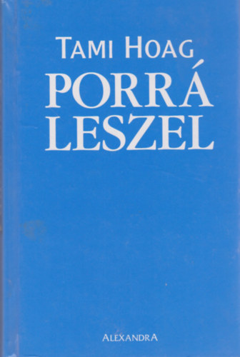 Tami Hoag - Porr leszel