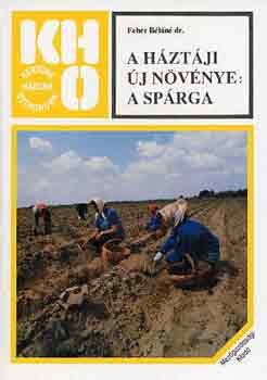 Feh�r B�l�n� dr. - A h�zt�ji �j n�v�nye: a sp�rga