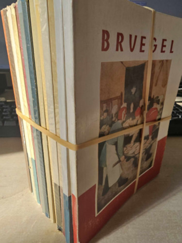 14db A mvszet kisknyvtra sorozatbl: Renoir+ k Sndor+ Grnewald+ Donatello+ Verrocchio+ Rouault+ Csi Paj-si+ Daumier+ Ingres+ Kathe Kollwitz+ Greco+ Rubljov+ Robbia+ Bruegel