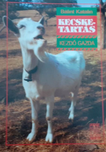 B�lint Katalin - Kecsketart�s