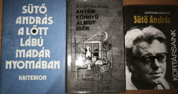 Görömbei András, Sütő András - 3db Sütő Andrással kapcsolatos mű - Görömbei András-Sütő András, Sütő András-Anyám könnyű álmot ígér, A lőtt lábú madár nyomában