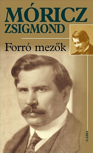 Mricz Zsigmond - Forr mezk